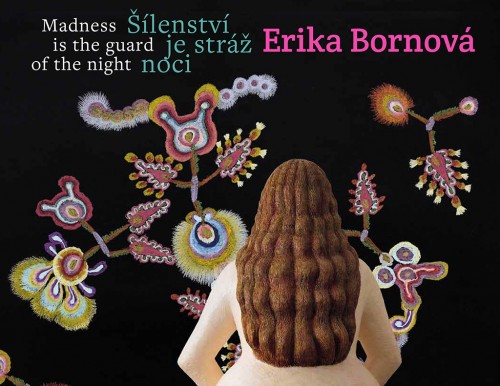 Erika Bornová - Madness is the Guard of the Night
