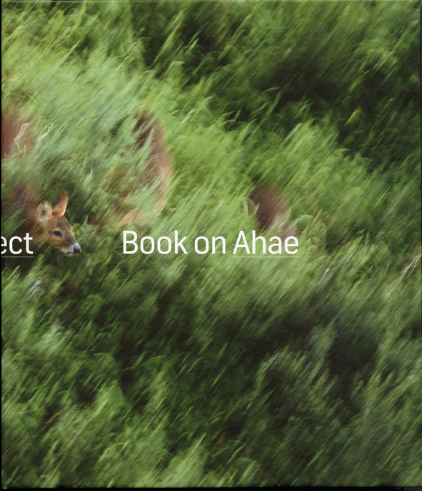 Book on Ahae.  So Simple, so Beautiful, so Perfect
