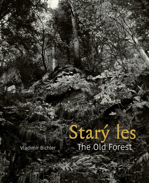 The Old Forest / Starý les