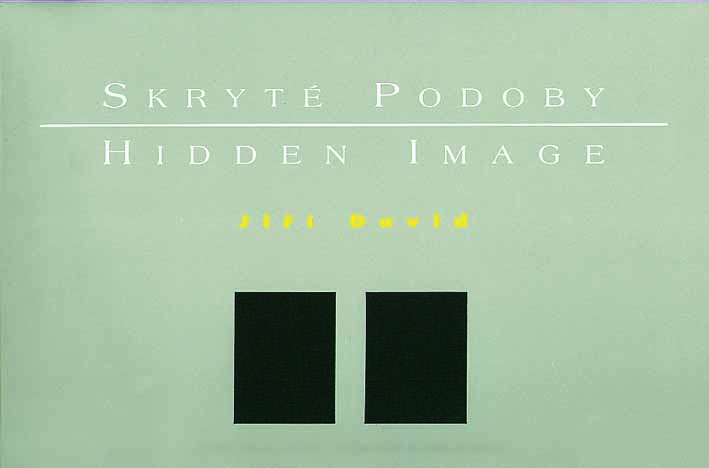 Skryté podoby / Hidden Image